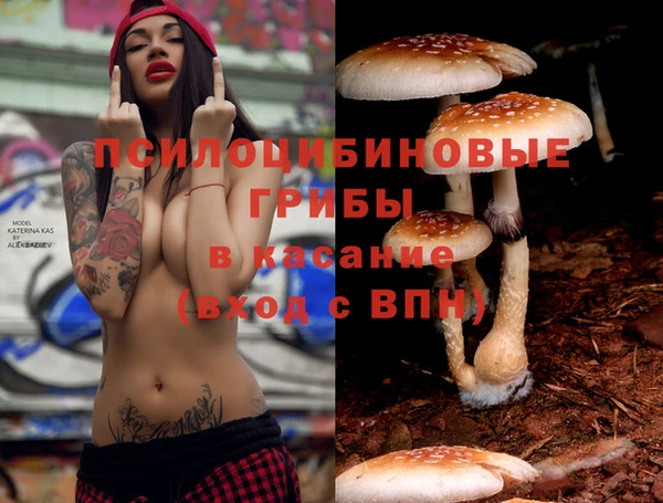 меф Заводоуковск
